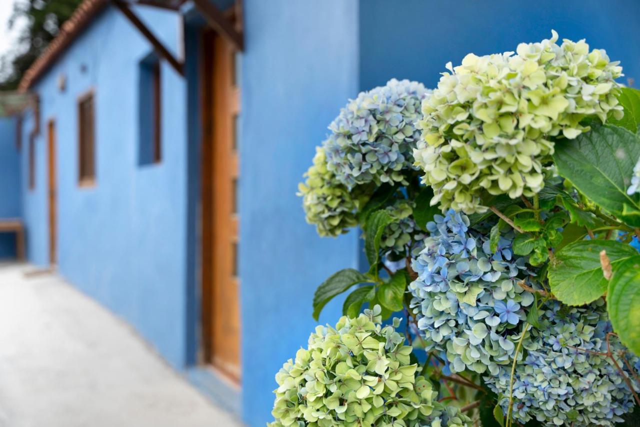 산타크루스데 테네리페 Casa Azul Del Roque Negro 빌라 외부 사진